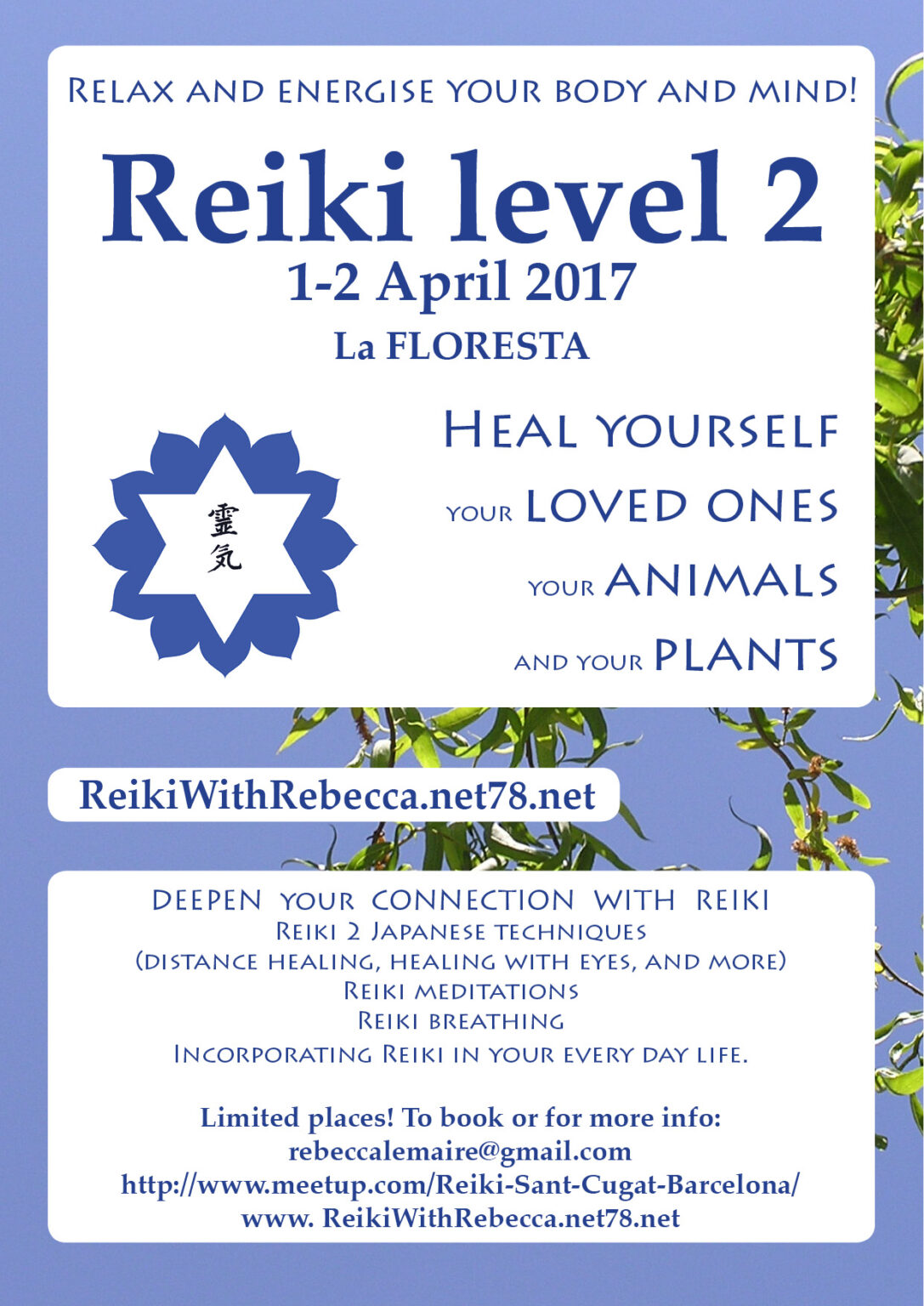 Reiki 2 - Poster